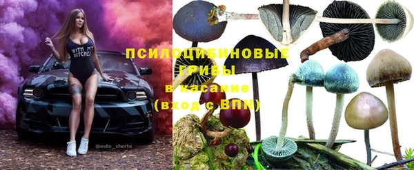 амф Балахна