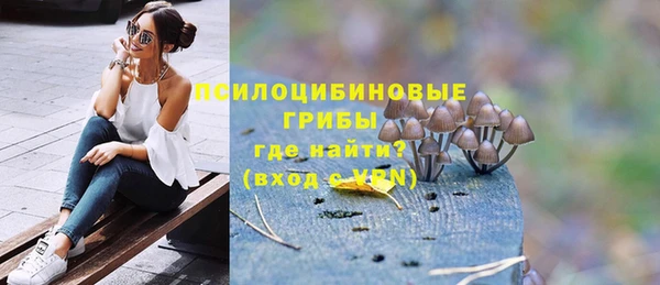 амф Балахна